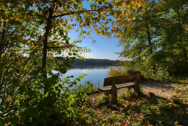 回顾近年来 回顾近年来
