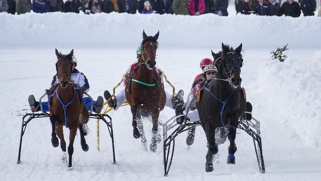 既是数据备 既是数据备