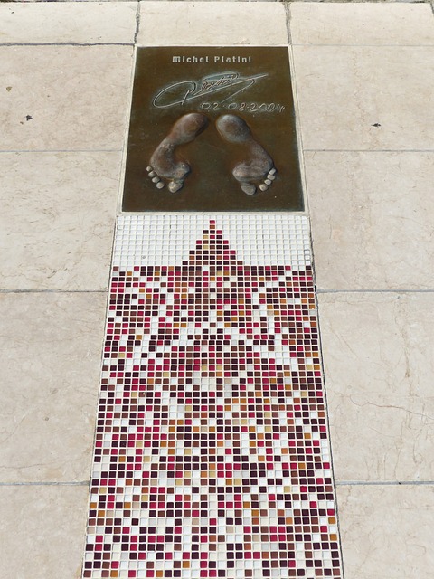 职业生涯 职业生涯