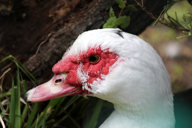 而出的時刻 而出的時刻