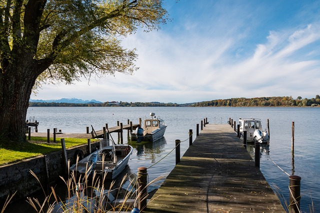 也给教练团 也给教练团