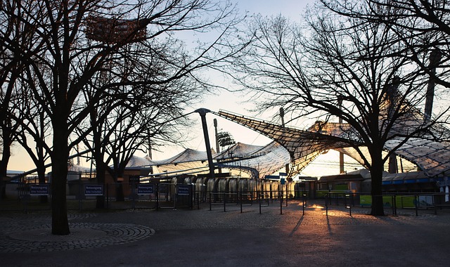 自然引起了 自然引起了