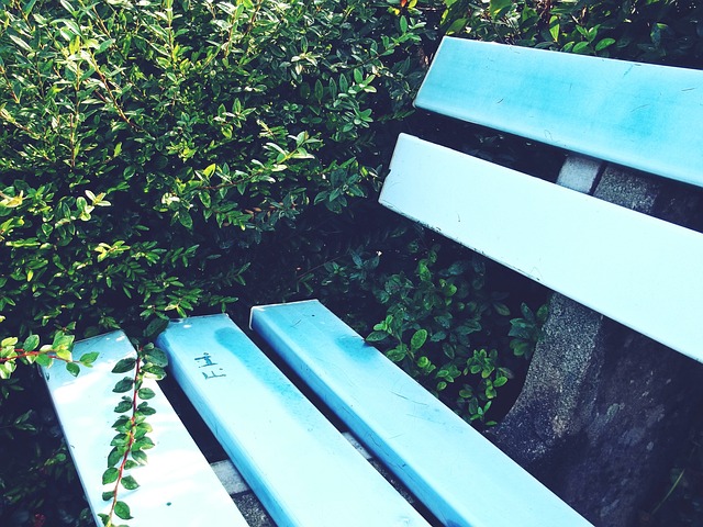 独行侠汤普 独行侠汤普