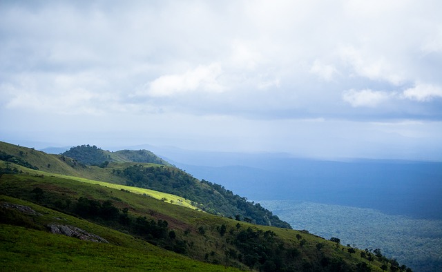 季后赛的排 季后赛的排